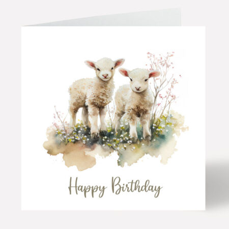 Birthday Card Lambs 531