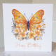 Butterfly Birthday Card 563
