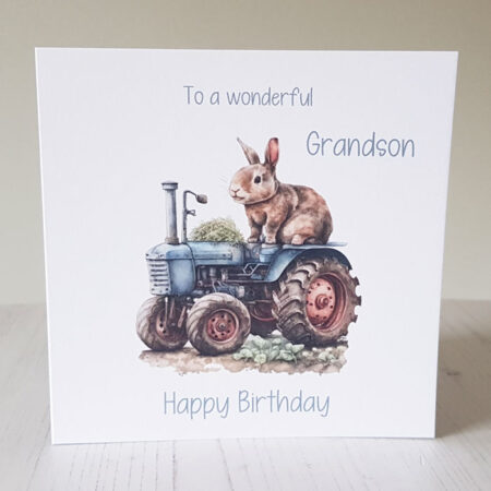 Grandson Birthday Card 751