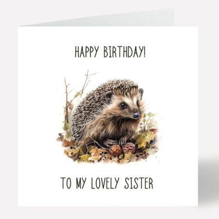 Hedgehog Birthday Card 812