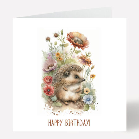 Hedgehog Birthday Card 813